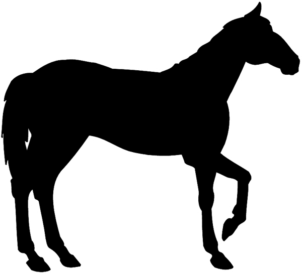 Horse holding one leg up silhouette vinyl sticker. Customize on line.      Animals Insects Fish 004-1092  